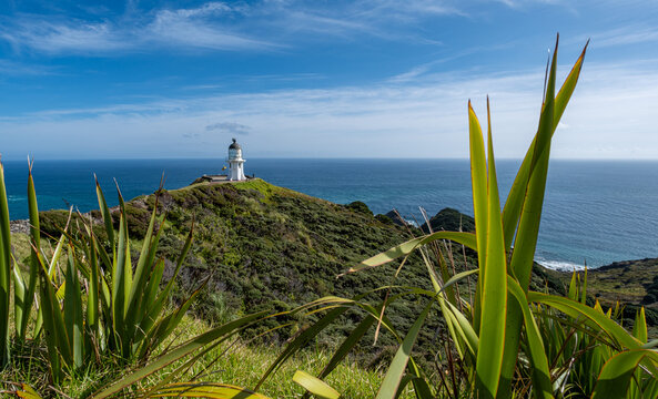 Cape Reinga Leuchtturm, Te Rerenga Wairua, Northland, Neuseeland, Cordyline australis, Phormium tenax, Kuestenlandschaft mit Ozean und Wegweiser