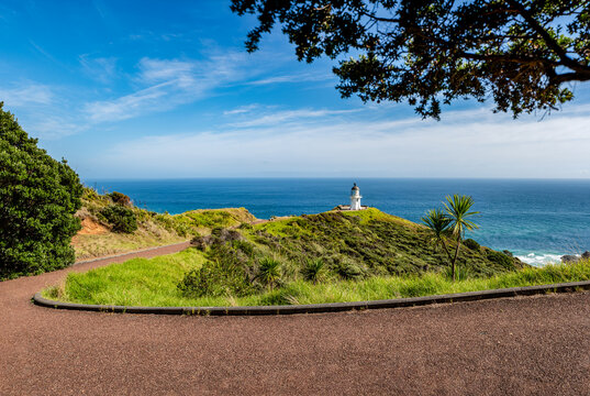 Cape Reinga Leuchtturm, Te Rerenga Wairua, Northland, Neuseeland, Cordyline australis, Phormium tenax, Kuestenlandschaft mit Ozean und Wegweiser
