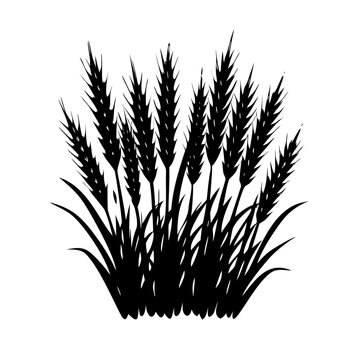 Wheat Grain Stalks Bunch with Leaves Black Silhouette Vector Icon Isolated on White Background