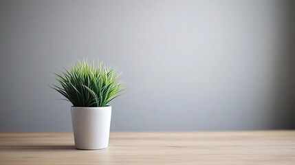 Fototapeta premium Small Natural Succulent Plant Set In White Ceramic Pot Located On Light Brown Wood Table Surface.
