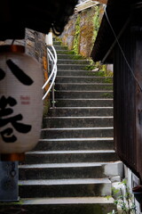 秘密の抜け道  © 藤与門