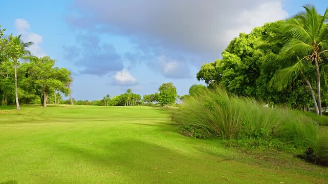 Lush golf fairways and golf courses in a tropical setting. Beautiful landscape of a green with lush green turf and palm trees. Golf course from the tee-off green. Green course and blue sky.