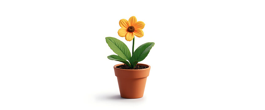 Single yellow dahlia flower in terracotta pot realistic studio shot isolated on white, bright blooming plant, decorative autumn beauty.