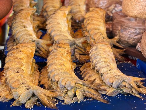 Preserved salted hilsa fish nona ilish stacked at market stall
