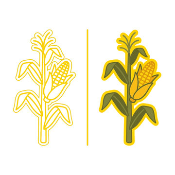 Flat vector illustration of a corn stalk with yellow cob