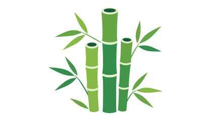 Naklejka premium Tall green bamboo stalks with leaves isolated.