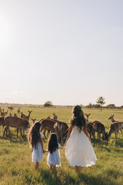 Mother with little daughters watching herd of deer in meadow during sunset