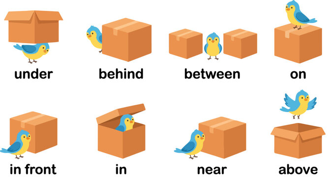 Educational English prepositions of place vector set, cute blue bird and cardboard box illustrations, preschool grammar learning aid with 8 icons