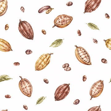 Watercolor illustration of cacao pods and beans