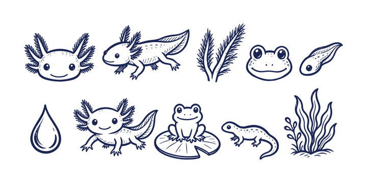Cute aquatic amphibian axolotl doodle element set featuring frog tadpole salamander and plant, vector illustration