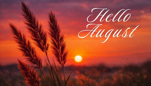 Hello August &mdash; sunset with feathery grass silhouettes glowing in warm orange and purple light. Late summer evening. Seasonal greetings, calendars, or postcards.