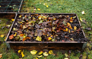 Fallen apple tree leaves in the home vegetable garden bed form a winter mulch layer that retains moisture, and as the leaves decompose, they add nutrients to the soil. © FotoHelin