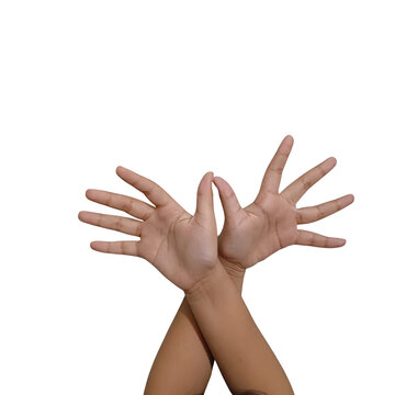 Two hands making a bird shape gesture