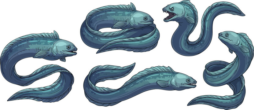 vector illustration clipart of eel with 5 poses semi realistic art style 01