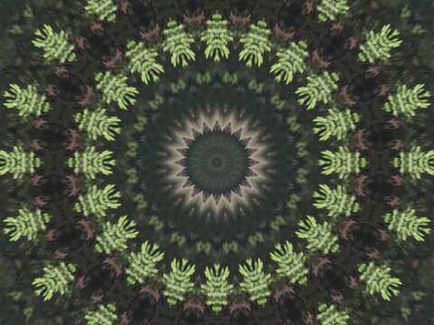 Abstract green kaleidoscope pattern background with a circular mandala design created from natural plant elements and leaves, featuring detailed symmetrical geometry.