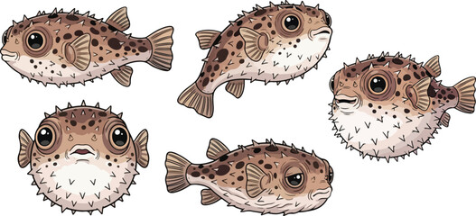 vector illustration clipart of pufferfish with 5 poses semi realistic art style  © weng