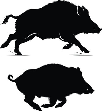 Black silhouettes of running wild boars set