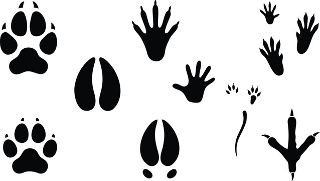Black silhouette collection of wild animal footprints