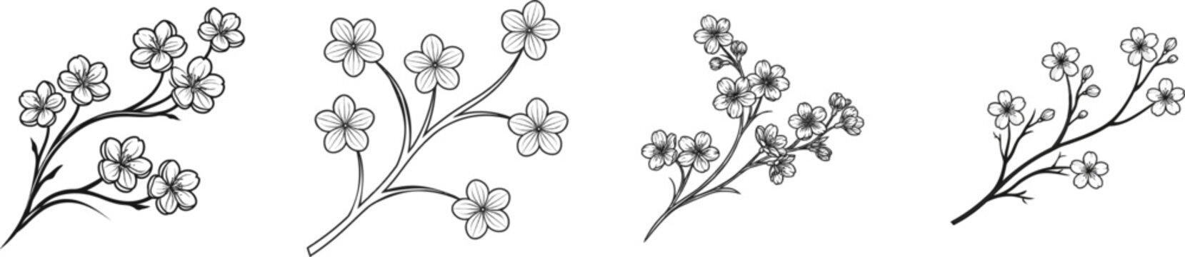 A minimalist black-and-white illustration of three cherry blossom twigs with perfectly round blooms, floating in a loose triangle on a white background