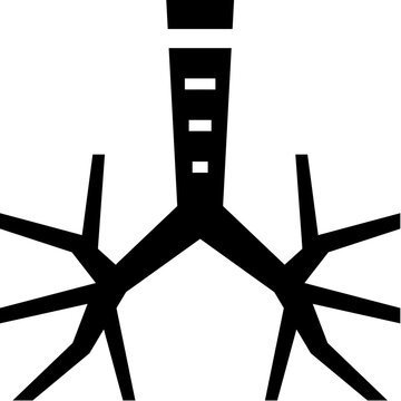 bronchus  Icon