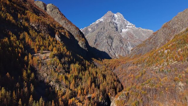 Mont Pelvoux in Ecrins National Park with Ailefroide Valley in autumn. Aerial view of the French Alps mountain peaks with golden forest of larch trees. Hautes-Alpes, Vallouise, France
