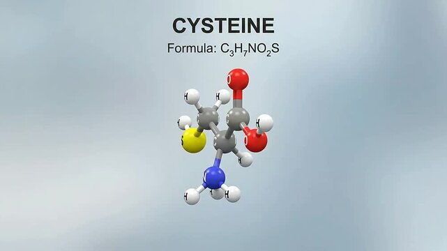 Molecular structure of cysteine amino acid with chemical formula