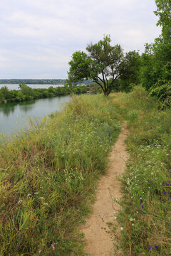Sandy path winds through lush green meadow beside a calm river on an overcast day