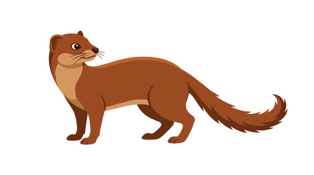 Cute Brown Weasel Vector Illustration Wildlife Animal Mascot Stoat Marten Mink Standing Profile Isolated Art