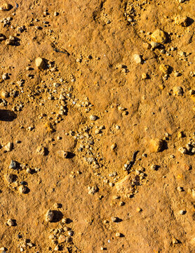 Desert ground as a natural background.