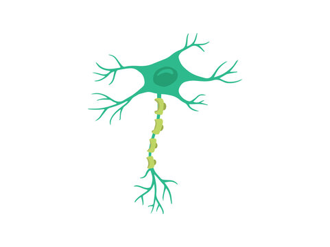 Multiple Sclerosis or Motor Neuron Disease