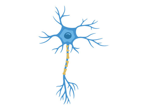 Multiple Sclerosis or Motor Neuron Disease