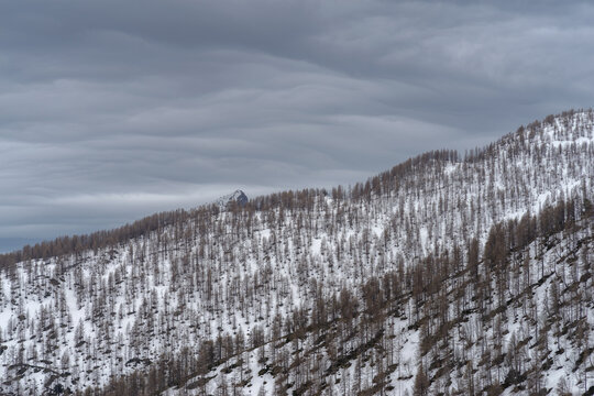 Maritime Alps, along French-Italian border the French region of Provence-Alpes-Cote d'Azur and the Liguria Italian region