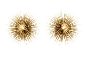 Obraz premium Two spectacular, asymmetrical golden firework bursts, microscopic gold glitter particles and radiating light trails against a stark white studio background, high-speed photography, concept of festive