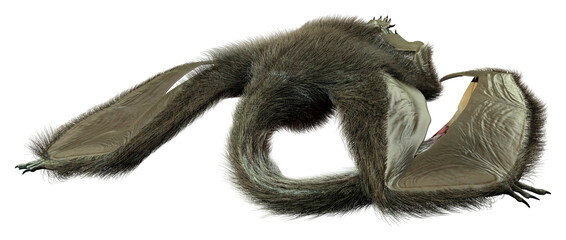 3D Rendering Dinosaur Quetzalcoatlus on White © photosvac