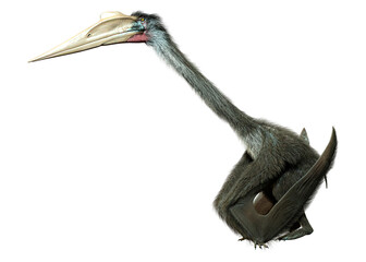 3D Rendering Dinosaur Quetzalcoatlus on White © photosvac