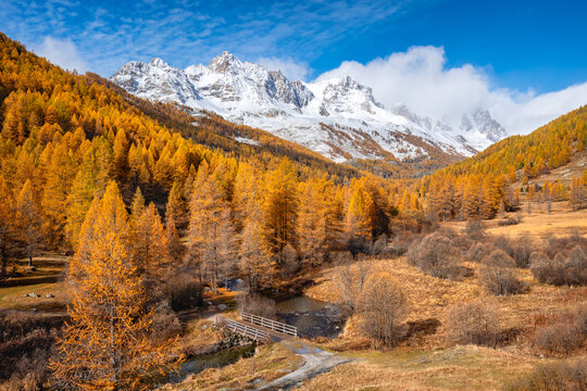 Claree Valley in the French Alps in autumn. Golden larch forest, Cerces Massif snow capped mountain peaks, and alpine landscape in the Hautes-Alpes. France