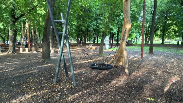 Quiet playground with swing set surrounded by leafy trees in a city park, healthy lifestyle, outdoor activity, childhood memories, relaxing nature, community recreation.