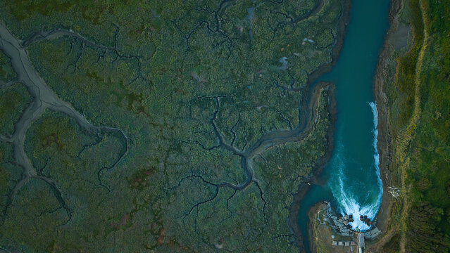 Aerial view of Fawley Refinery outfall and wetland area with intricate tidal channels, marshland vegetation, and industrial water discharge into the estuary in Southampton, England, United Kingdom.