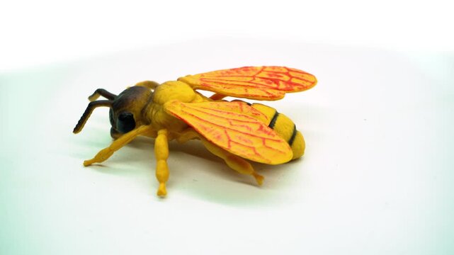 Rotating display of a realistic toy bee on a clean white background, capturing nature themes, wildlife presentations, and commercial product motion concepts.