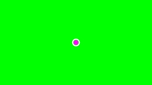 A vibrant pink four-pointed star shape centered on a bright green background