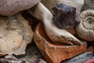 Ancient ammonite fossils and natural stones with driftwood © Georges_Flayols