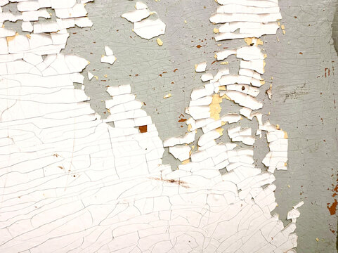 White cracked Paint peels from grey Concrete Wall, revealing beige and yellow layers with curled fragments. Distressed grunge Texture Background with damaged Surface and closeup detail.