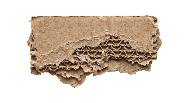 Torn corrugated cardboard edge with exposed paper layers, isolated on transparent background