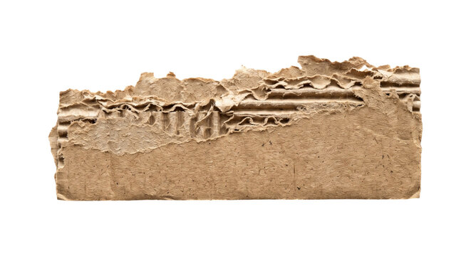 Torn corrugated cardboard edge with exposed paper layers, isolated on transparent background