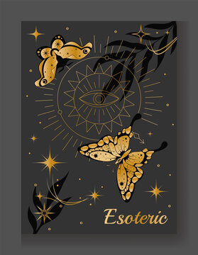 Occult symbol. Esoteric banner. Magical fly animal. Mystical butterfly. Plant branch leaves. Moth gold wings. Abstract line solar icon with eye. Star sparks. Fantasy swallowtail. Vector spiritual card