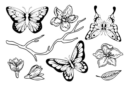 Butterfly and flower line art set. Black and white botanical and insect wings with branches and leaves, decorative elements for graphic and print compositions. Vector hand drawn isolated illustration