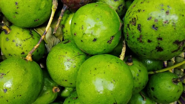 Fresh green round avocados pile raw organic tropical fruit close-up background outdoors