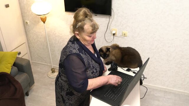 Elderly woman types with a cat nearby.