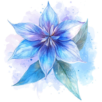 Borage Flower watercolor illustration, semi-realistic fantasy style, subtle magical elements, soft glow, isolated on white background