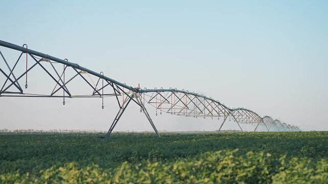 Modern irrigation technology waters large field. Sprinkler equipment rotates spraying crops with water. Precision agriculture depends on irrigation system. Efficient farming with sprinkler technology
